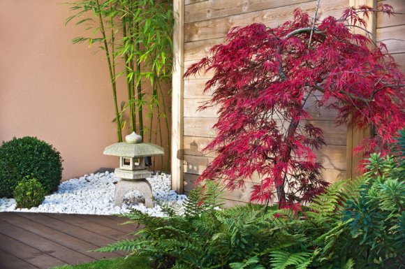 Professionnel pour la création d’un jardin zen japonais Louhans