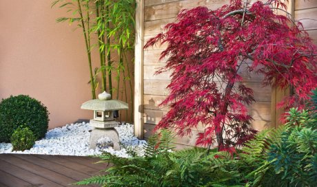 Professionnel pour la création d’un jardin zen japonais Louhans