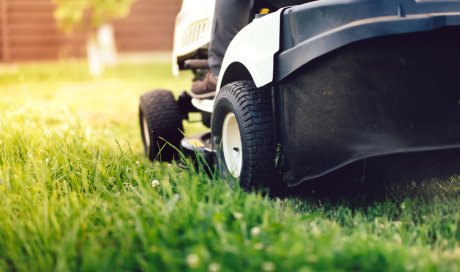 Professionnel pour la tonte de pelouse et taille de haies pour particulier Louhans